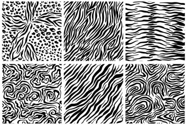 Zebra derisinin kusursuz dokusu hayvanların deri çizimi