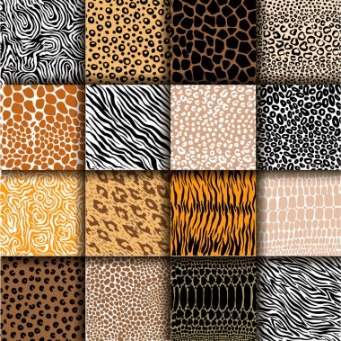 Kaplan, zebra, zürafa, leopar ve ineğin hayvan derisi dokularının vektör kümesi