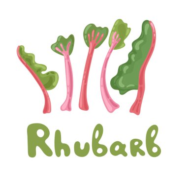 Rhubarb Stok Klibi. Sebze renkli ikon. Tüm robarb vektör çizimi, beyaz üzerine izole edilmiş çizgi film düz ikonu. Rubarb yaprakları, yenilebilir bitkiler.