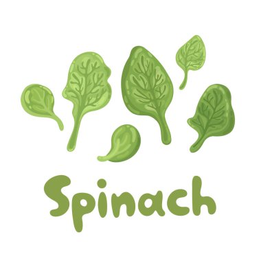 Ispanak yaprakları - şirin renkli düz simge. Tarım, gastronomi, yemek pişirme kavramı. Taze uçan ıspanak sürüsü. Vitamin ve mineraller. Makaleler, web tasarımı, beslenme tavsiyeleri için