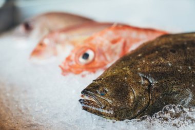 Hirame, zeytin pisi balığı, piç pisi balığı ya da Japon halibut ve ezilmiş buz üzerinde çeşitli taze çiğ balıklar. Mutfak yemek hazırlama, taze süpermarket veya balık Pazar kavramı