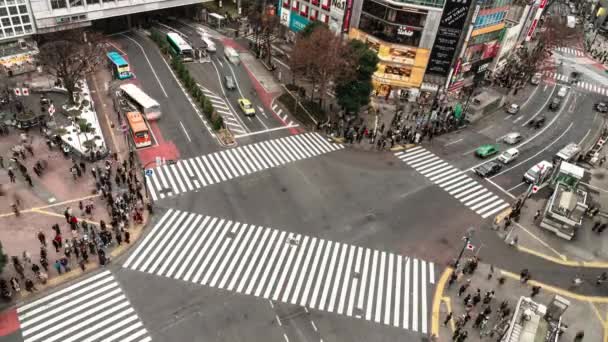 Uhd Aerial View Time Lapse Shibuya Zebra Crossing Crowded People — Stock Video