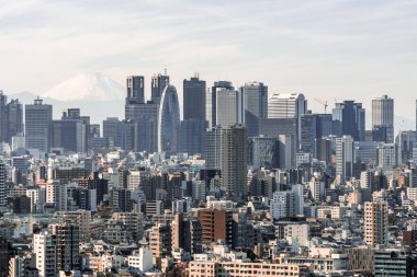 Cityscape Shinjuku alanıyla iş binalar bölgesine ve evler, Fuji Dağı arka planda hava görünümünü. Tokyo turistik cazibe gezi, Japonya seyahat Simgesel Yapı veya Asya Turizm kavramı