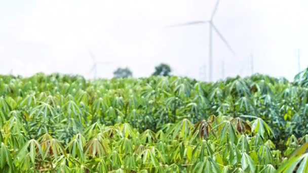Větrné Turbíny Zemědělském Poli Větrné Farmy Výroba Elektřiny Udržitelná Čistá — Stock video
