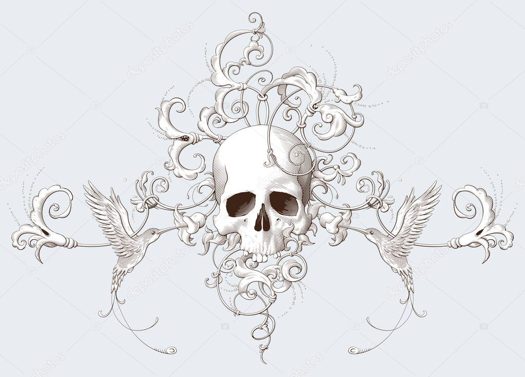 Vintage decorative element engraving with Baroque ornament, skull and birds. Hand drawn vector illustration