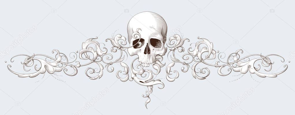 Vintage decorative element engraving with Baroque ornament and skull
