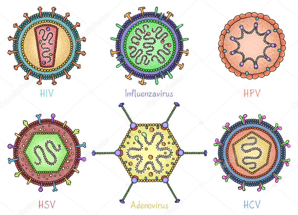 Set of different viruses in hand drawn style. Color diagrams showing the structure of viruses. Vector illustration isolated on white background for medical info graphics