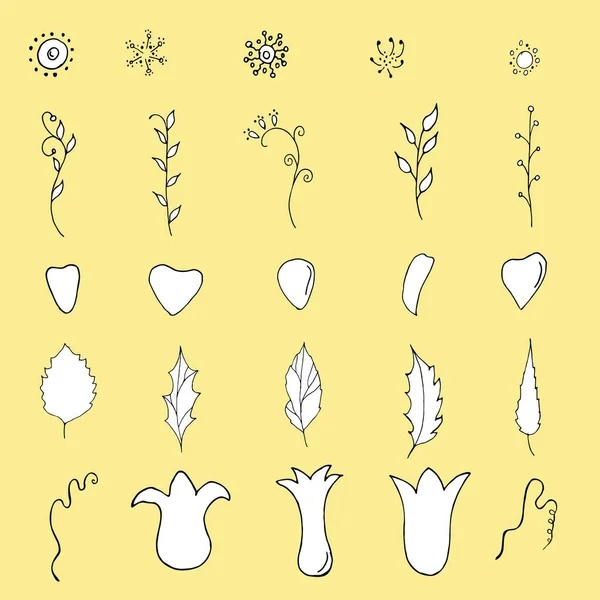 Los Contornos Botánicos Doodle Para Crear Diseño Ramo Dibujo Mano — Archivo Imágenes Vectoriales