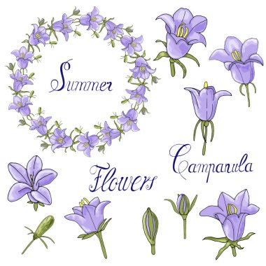 Vektör el çizmek tatil kutlamak. Çiçekler bir çelenk, dikişsiz fırça ve set çanları. Kendi yaratıcılığınızı oluşturmak için sorunsuz fırça.