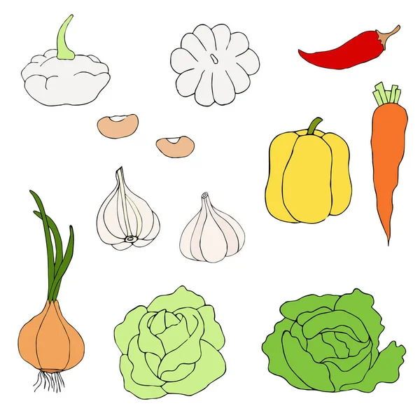 Egy Sor Képet Zöldségek Design Állítsa Zöldség Vektoros Illusztráció Kézi — Stock Vector