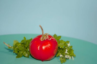 Taze ve sulu kırmızı domates, şehir bahçesinin hasadına eşlik etmesi için taze bir albhaka dalıyla çevrili.