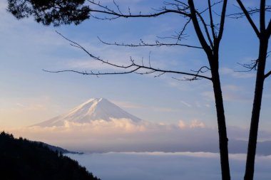 Fuji Dağı'nın çok güzel bir sabah atış ile deniz sis ve ağaç ön planda