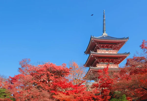 Pagoda Bij Kiyomizu Dera Tempel Met Kleurrijke Rode Bladeren — Stockfoto
