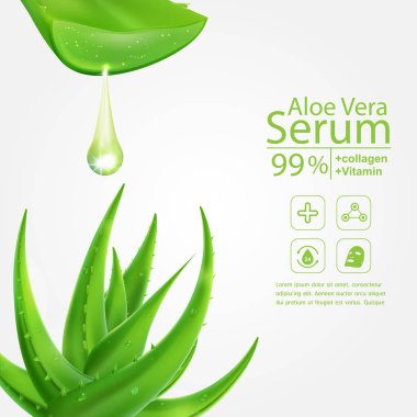 Aloe Vera Serum ve Kolajen Vitamin Cilt Bakımı Kozmetik Arkaplan Vektörü Kavramı .