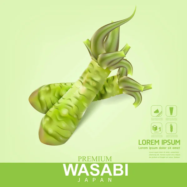 Wasabi Root Premium Vector — Stock Photo, Image