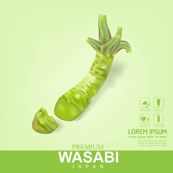 Wasabi Root Premium Vector — Stock Photo, Image