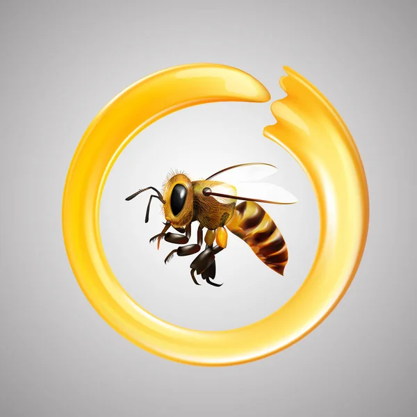 Honey Bees Vector — Stock Photo, Image