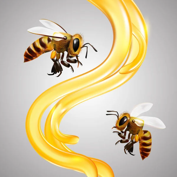 Honey Bees Vector — Stock Photo, Image