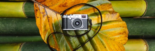 Bambu tropikal yaprak üzerinde yalan vintage fotoğraf makinesi