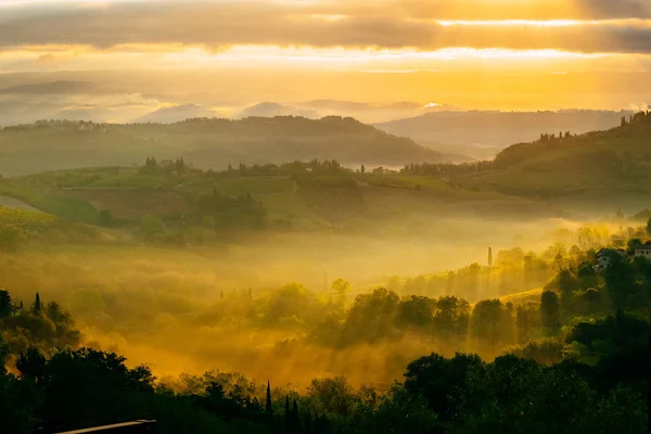 Morgendämmerung in einem nebligen Tal in den Hügeln der Toskana, Italien — Stockfoto