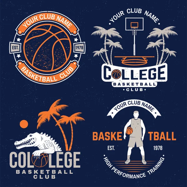 Conjunto de placa del club de baloncesto. Vector. Diseño gráfico para camiseta, camiseta, estampado o indumentaria. Diseño tipográfico vintage con aro de baloncesto y silueta de pelota . — Vector de stock