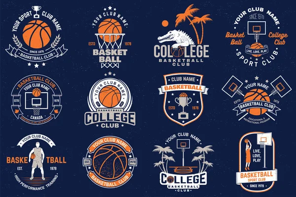 Conjunto de placa del club de baloncesto. Vector. Diseño gráfico para camiseta, camiseta, estampado o indumentaria. Diseño tipográfico vintage con aro de baloncesto y silueta de pelota . — Vector de stock