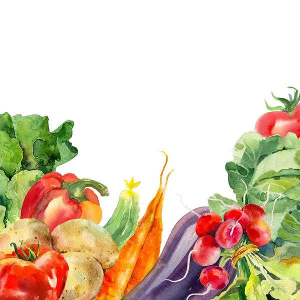 Υδατογραφία ζωγραφισμένη συλλογή λαχανικών. Φρέσκα πολύχρωμα λαχανικά φόντο — Φωτογραφία Αρχείου