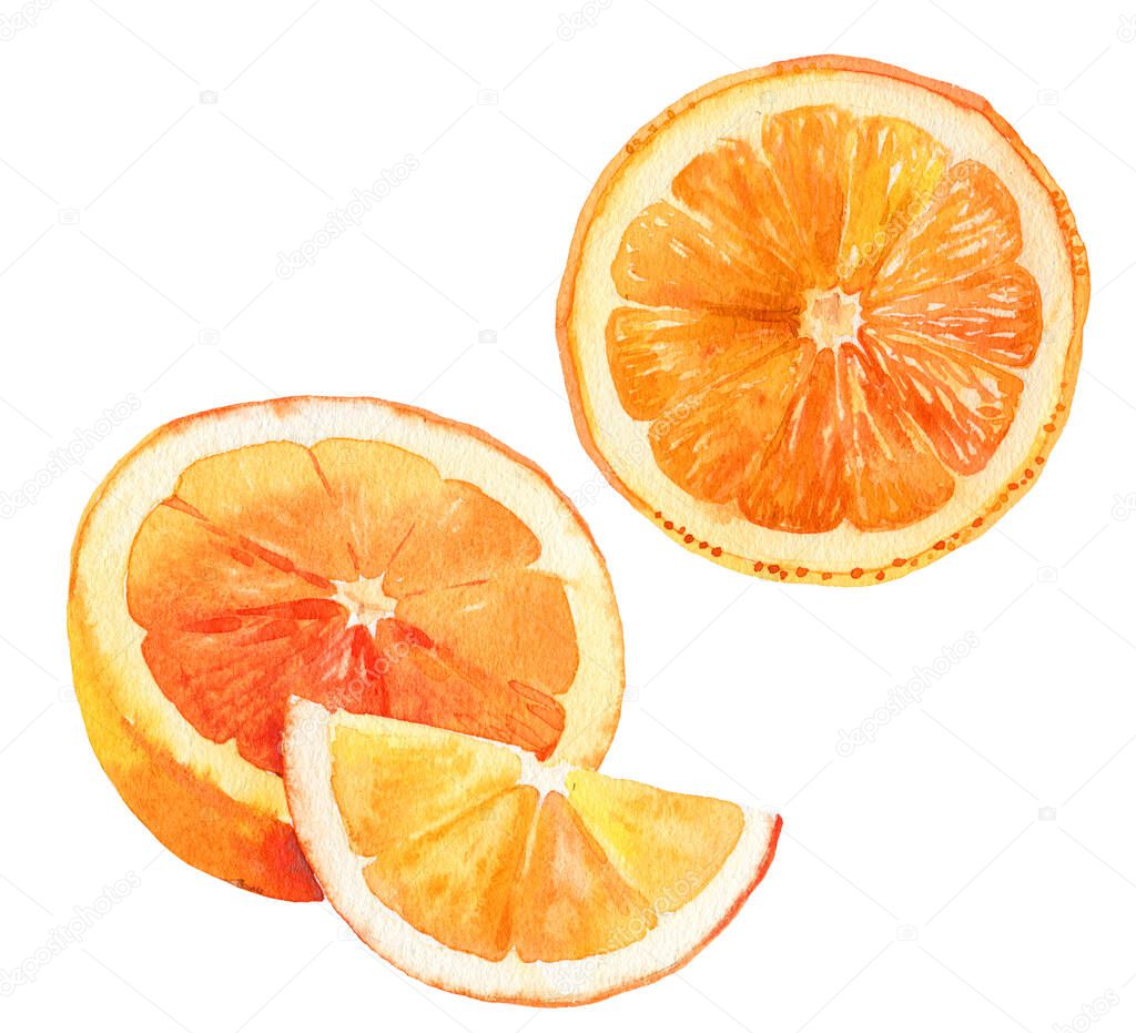 Watercolour orange fruit illustration. Hand drawn orange. Fresh orange fruit. Bright and fresh illustration. Watercolor botanical painting.