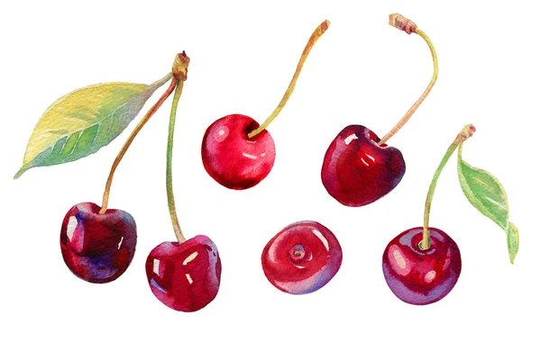 Акварельная вишня. Набор вишни ручной работы. Свежие сладкие и вкусные вишни. Яркая и свежая иллюстрация. Ботаническая живопись акварелью. Красивые вкусные ягоды, изолированные на белом — стоковое фото