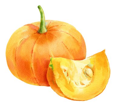 Suluboya balkabağı, her amaç için harika bir tasarım..