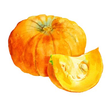 Suluboya balkabağı, her amaç için harika bir tasarım..