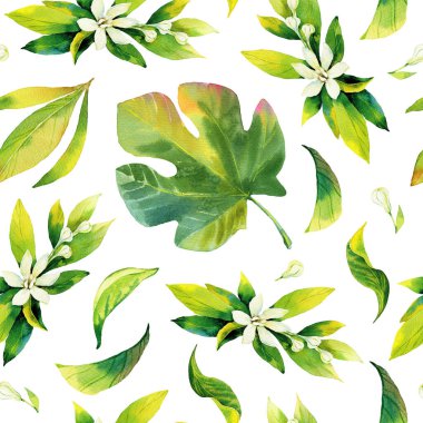 Kusursuz suluboya narenciye ve incir yaprakları deseni. Beyaz arka planda yeşil yapraklar. Ambalaj kağıdı, kumaş, tekstil, duvar kağıdı için kusursuz yeşillik suluboya çizimi