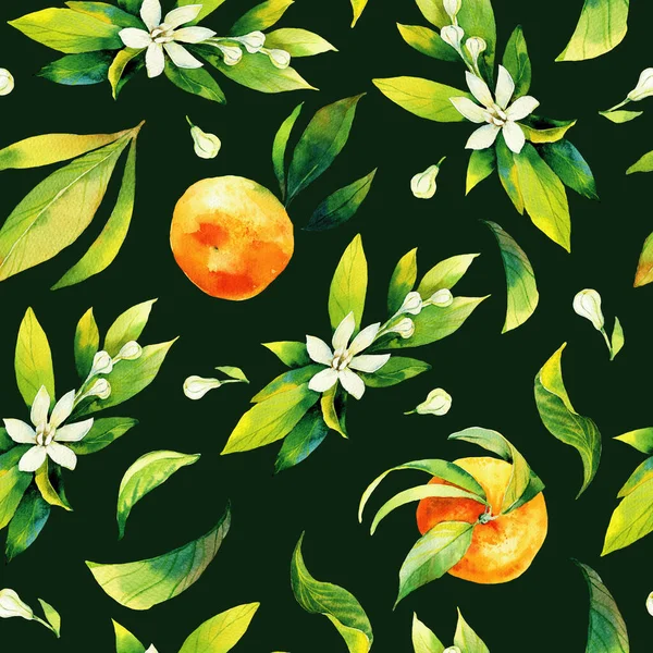 Aquarelle sans couture motif agrumes et feuilles. Feuilles vertes et fruits orange sur fond sombre. Illustration sans couture à l'aquarelle mandarine et oranges — Photo