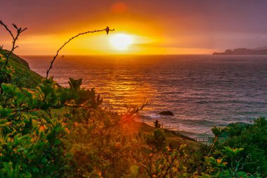 Olağanüstü günbatımı, Kaliforniya kıyılarına altın renkleri yansıtıyor. Okyanus dalgaları yakınında sakin bir atmosfer yaratıyor..