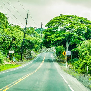 Hawaii, Amerika Birleşik Devletleri - 07 Eylül 2012: Hawaii 'nin Büyük Adası' ndaki canlı yeşillikler arasında dolambaçlı bir yol doğanın güzellikleri arasında keşif ve maceraya davetiye çıkarıyor.