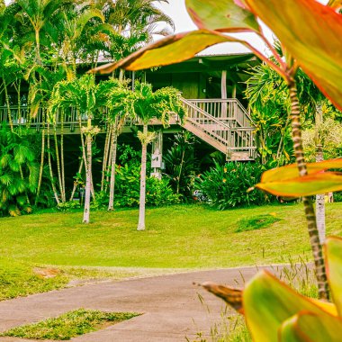 Hawaii, ABD - 09 Eylül 2012: Hawaii 'nin Büyük Adası' nda canlı yeşillik ve büyüleyici ahşap bir bina içeren güzel bir tropikal manzara keşfedin..