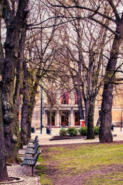 Oslo, Norveç - 25 Nisan 2012: Ziyaretçiler baharın başlarında huzurlu bir Oslo parkında çıplak ağaçlar ve banklar arasında boş boş gezintiler yapıyorlar.