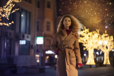 yeni yılda sokakta genç bir kadının güzel Noel portresi