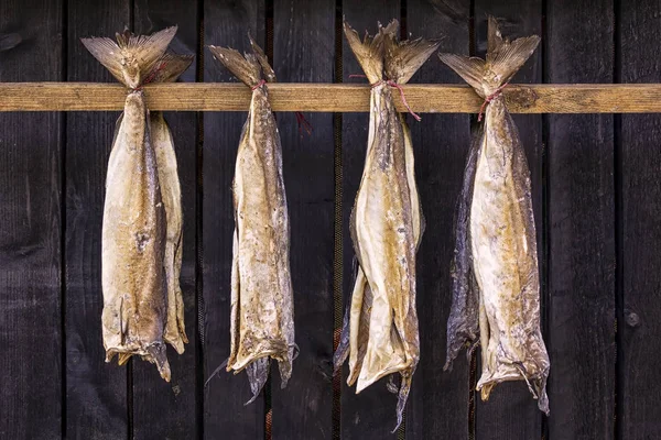  Stockfish soğuk hava ve rüzgar ahşap raflar, Faroe Adaları üzerinde görülme tarafından kurutulmuş tuzsuz, özellikle cod, balıktır.