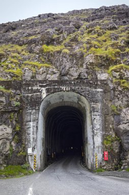 Tjornes, İzlanda yarımadasının sahilde çim ve plaj yulaf. Gökyüzü bulutlarla dolu. Falls çim aydınlatma.