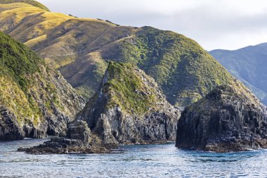 Marlborough Sounds, Yeni Zelanda'ya bakış
