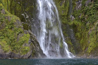 Stirling Falls,Milford Sound, Yeni Zelanda
