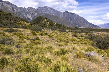Beautiful Aoraki, Mount Cook Ulusal Parkı, Yeni Zelanda