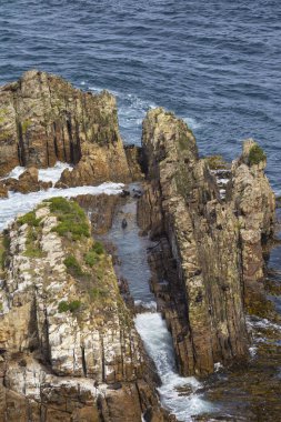 Nugget Point boyunca en ayırt edici yer şekilleri biridir 