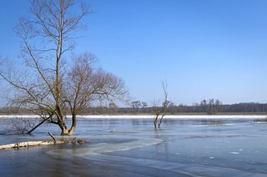 Şubat ayında Oder Nehri 'nde kış