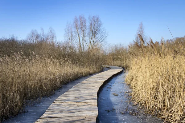 Cold winter day, wooden path in the Uckermark