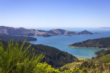 Görünüm Port Underwood ve Hakahaka Bay Near Picton, Yeni Zelanda