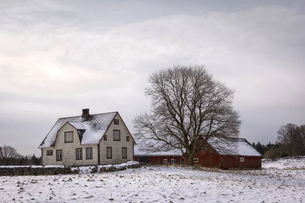 典型的なスウェーデンの木造農家と納屋 ロイヤリティフリーのストック画像