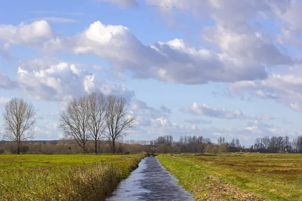 Alanları ve drenaj kanalı ile sonbaharda Peyzaj
