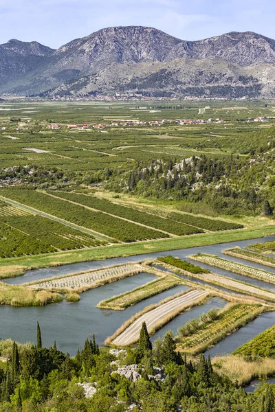 Con vistas al delta del río Neretva en Croacia —  Fotos de Stock